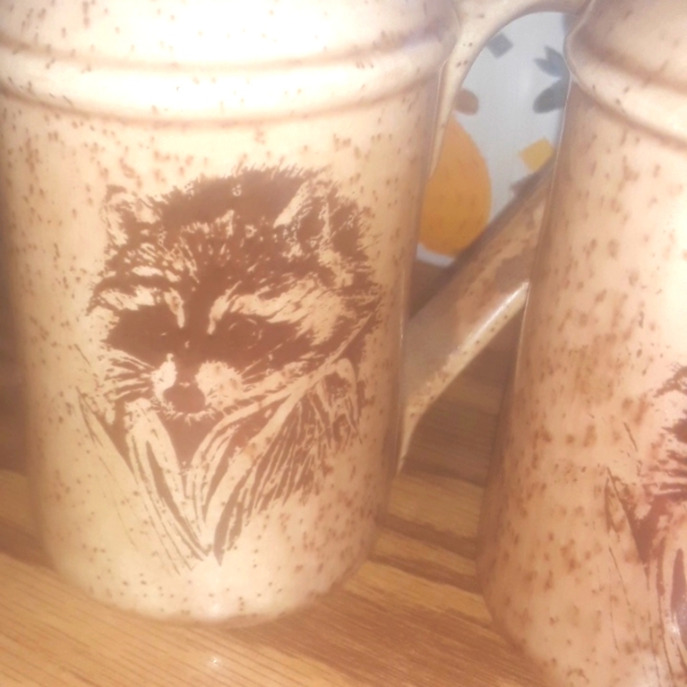 🦝 ITASCA SEARCH Minnesota Park RACCOON SALT & PEPPER set VINTAGE VNVPLC